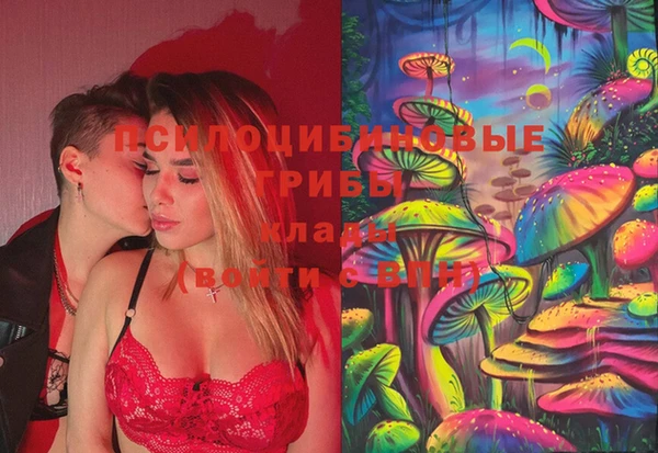 винт Сосновый Бор